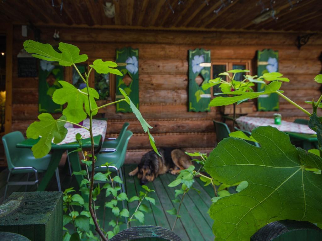 Willa Jagniatkow Bed and Breakfast Exteriör bild